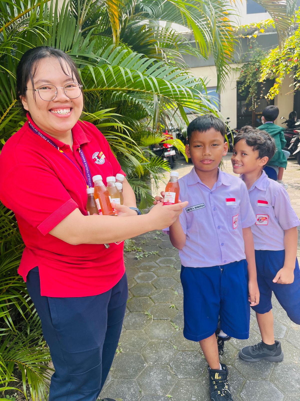 Natural Kombucha Ingredients